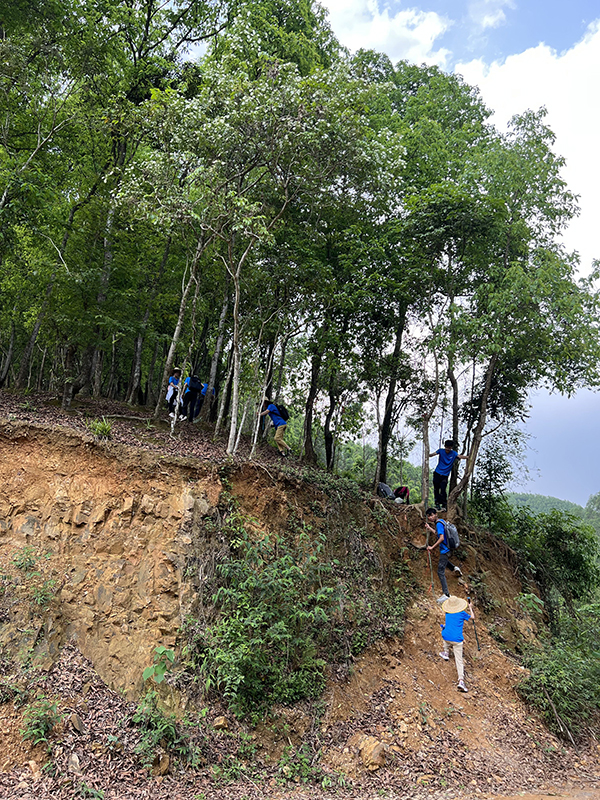 1648539618497433.jpg 1.jpg