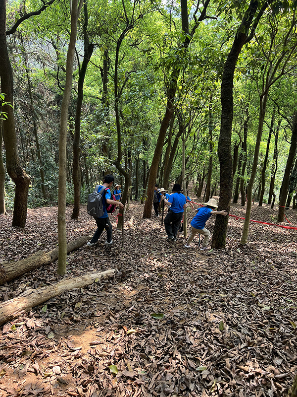 1648539731227293.jpg 4.jpg