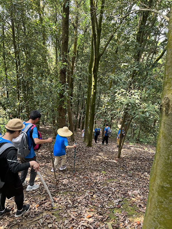 1648539751282087.jpg 5.jpg