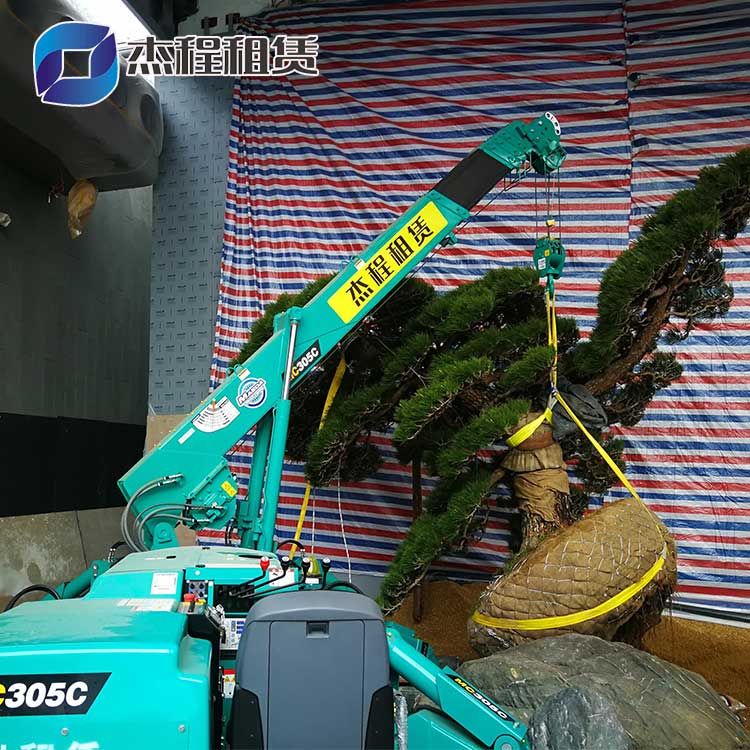 蜘蛛吊出租應(yīng)用于室內(nèi)景觀樹吊裝搬運 蜘蛛吊出租應(yīng)用于室內(nèi)景觀樹吊裝搬運